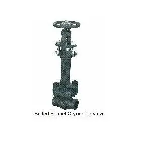 Integral backseat Cryogenic Valve
