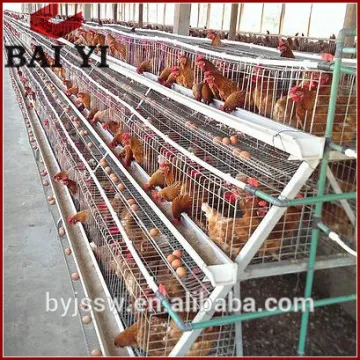 3 tiers 96 birds battery layer cage for chicken farm