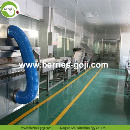 Factory Supply Fruit Dried Sun Dry Goji Berries