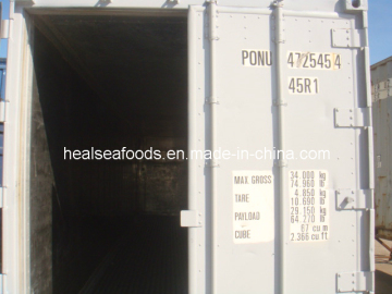 Used Container