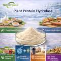 Food Grade Plant Protein Hydrolase Supplier