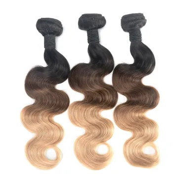 colored OMBRE raw brazilian wholesale bundle virgin hair vendors virgin  hair bundles ombre human hair bundles