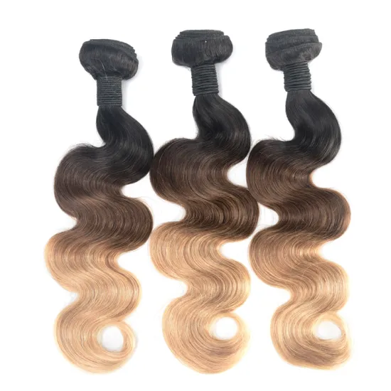 colored OMBRE raw brazilian wholesale bundle virgin hair vendors virgin  hair bundles ombre human hair bundles