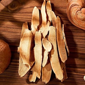Herbal Tonic Ganoderma lucidum Slices