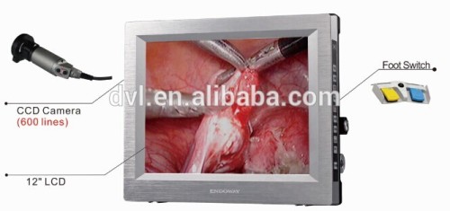 Integrated endoscopic camera system