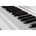 Генри Хамлин Digtal Piano UG18 Мульти-түрлі-түсті ағаш дәні немесе боялған беті