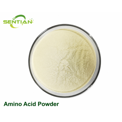 Bioactive Amino Acid Powder Enhances Nutrient Uptake in Plants