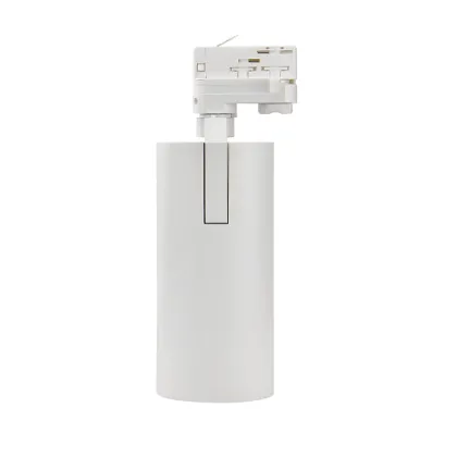 RONSE Gallery Art Projector LED Ceiling Track Lighting