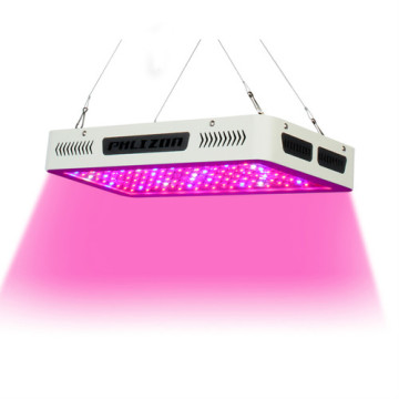 Merah &amp; Biru 300w Led Grow Light Untuk Tumbuh Komersial