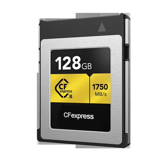 Professional CFexpress Type B Memory Card - Up to 1750MB/s for 8K/4K Cameras (64GB-512GB)