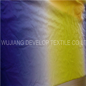 Functional Polyester Printed Cire Fabric for Cloth Fabric (DT2033)