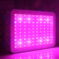 300W Spektrum Penuh Hydro LED Tanaman Tumbuh Cahaya