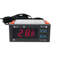 Electronic temperature controller with timer