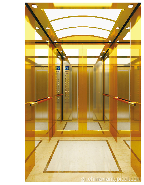 Ανελκυστήρας επιβατών χρυσού τιτανίου