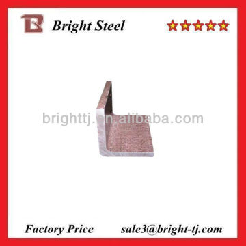 Mild Angle Steel Bar/Structural Steel/China Manufacturer