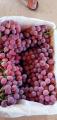 mejores uvas globales rojas xinjiang