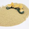 organic soy protein powder 45% protein for Poultry