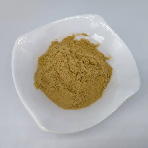 Cortex Phellodendri Extract Powder Chinese Whiteflower Patrinia Herb Extract 10:1 Factory