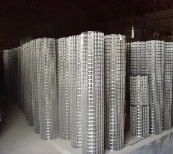 Galvanized Welded Wire Mesh, Dutch Wire Mesh