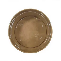 Biodegradable Kraft Paper Salad Cup with Lid