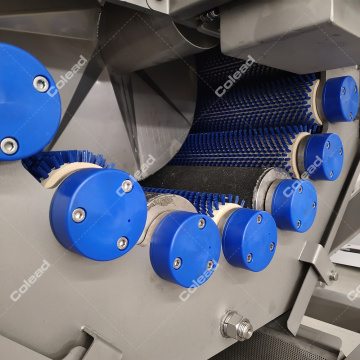 Continuously potato washing and peeling line