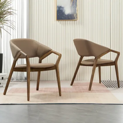 Solid Wood Dining Chairs for Home Furniture Table