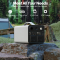 portable generator 300W