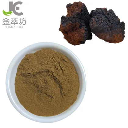 siberian chaga mushroom extract 30% Polysaccharide powder
