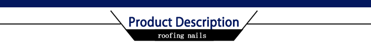 roofing-nails