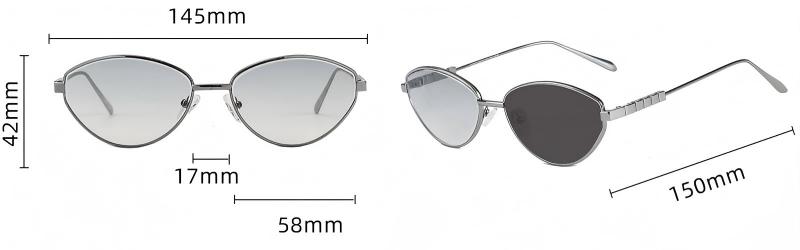 Vintage Metal Cat Eye Photochromic Sunglasses ME2149-size