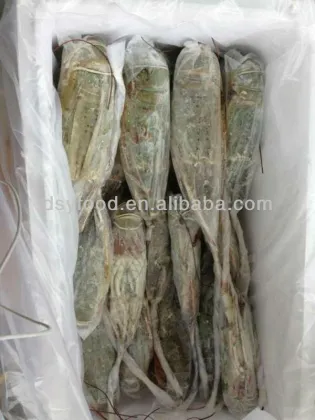 Frozen Green Lobster