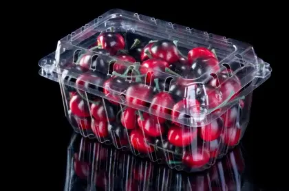 Strawberry Punnet Fruit Plastic Container for Wegmans