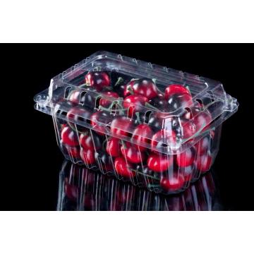 Strawberry Punnet Fruit Plastic Container for Wegmans