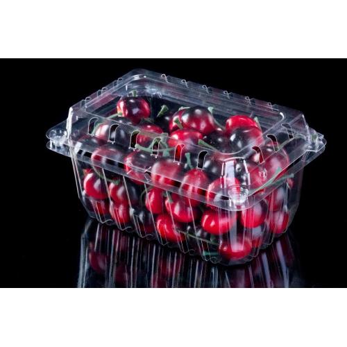 Strawberry Punnet Fruit Plastic Container for Wegmans