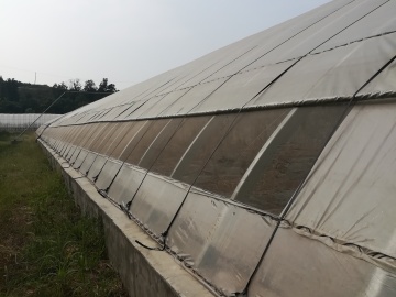 Insulated Board Solar Greenhouse