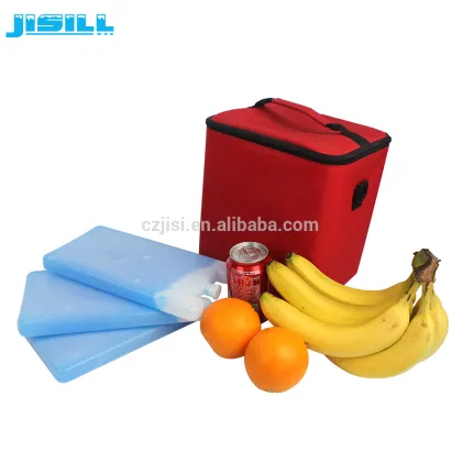 Non-toxic Gel Blue Ice Brick Cooler
