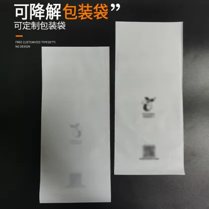 Custom OBE Frosted Biodegradable Plastic Bag