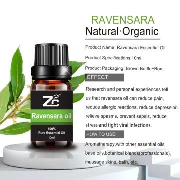 OEM Package Aromatherapy Diffuser Ravensara Oil for Skin