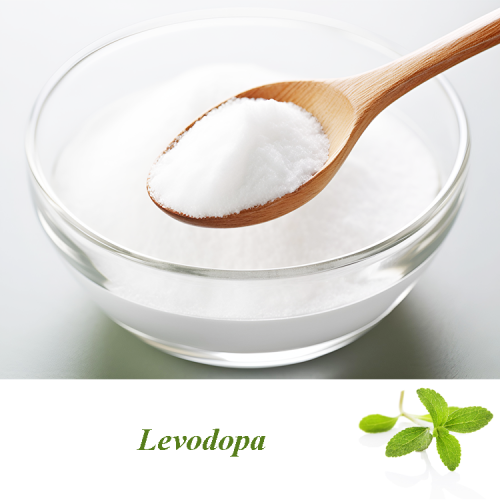 Levodopa Precio en polvo para mejorar los ingredientes de la memoria