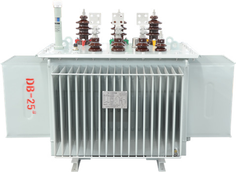 1250kva 1600kva 10 Kv Oil Immersed Transformer