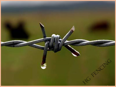 conventional twist barbed wire