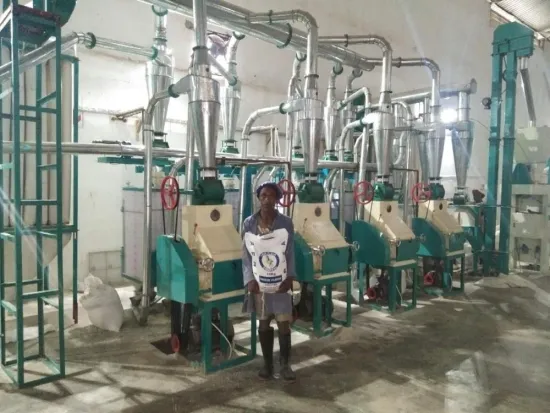 10-25TPD maize milling machine price flour milling machine small flour mill machinery prices