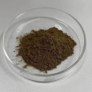 Sophora flavescens root extract powder cncsbio bulk