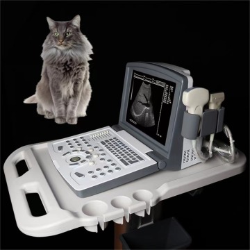 Tragbarer B -Ultraschalldiagnosescanner für Tiere