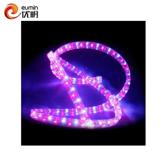 High Quality Multicolor LED Rope Lights for Outdoor Christmas Holiday Party - 110V/220V