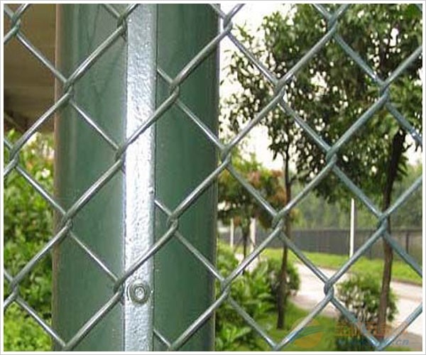 ASTM F668 standard PVC coated green chain link