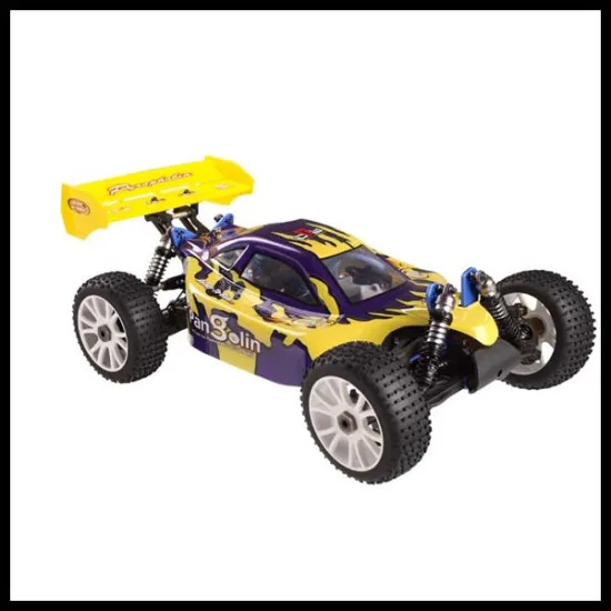Rc  hobby   nitro  rc  car 1/8th Scale 4WD  off-road buggy  TPGB-0821