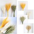 Pampas Decor Grass Real Wheat Ear Flower Plants Decoration Bouquet Fluffy Lovely For Home Decor Wheat Bouquet Photo Props