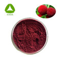 Myrica Rubra Waxberry Extract Red Bayberry Порошок