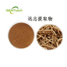 organic polygala tenuifolia extract powder